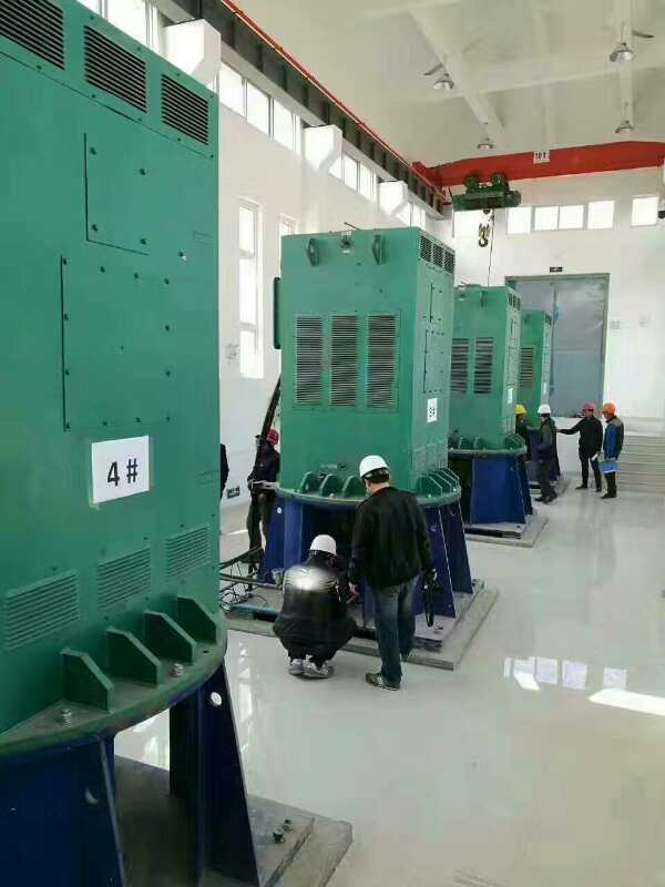 YR5605-10某污水处理厂使用我厂的立式高压电机安装现场
