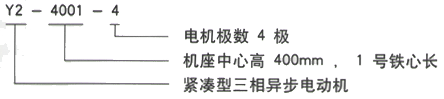 YR系列(H355-1000)高压YR5605-10三相异步电机西安西玛电机型号说明